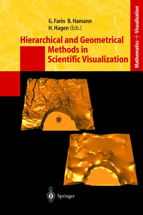 Produktbild: Hierarchical and Geometrical Methods in Scientific Visualization