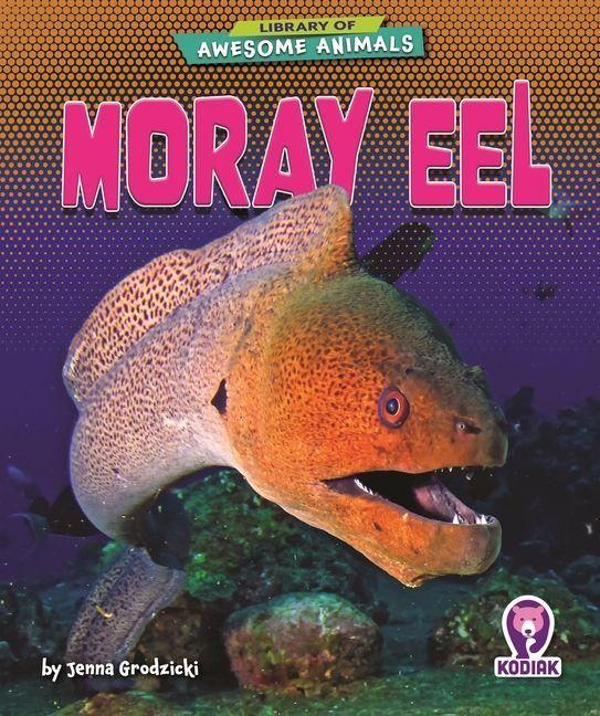 Produktbild: Moray Eel