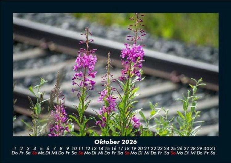 Produktbild: Blumenzauber 2026 Fotokalender DIN A5