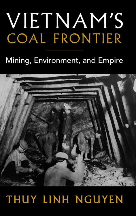 Produktbild: Vietnam's Coal Frontier