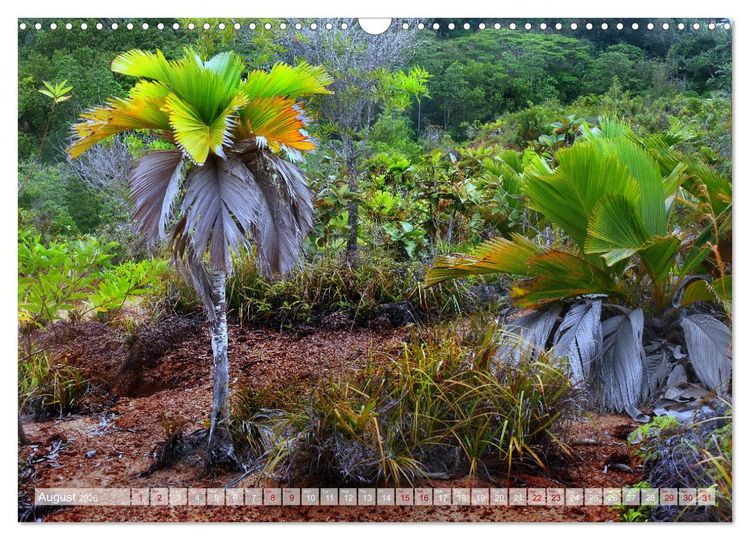 Produktbild: Seychelles, Holidays on Exotic Islands (Wall Calendar 2026 DIN A3 landscape), CALVENDO 12 Month Wall Calendar