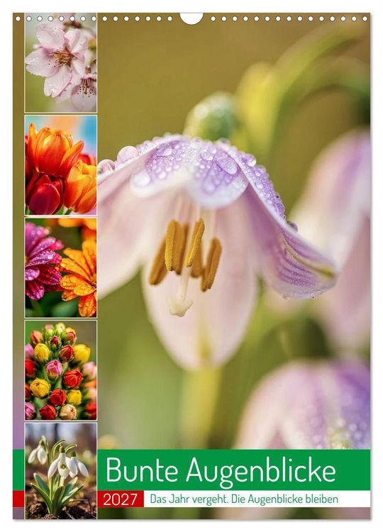 Produktbild: Bunte Augenblicke (Wandkalender 2027 DIN A3 hoch), CALVENDO Monatskalender