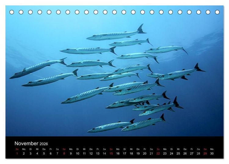 Produktbild: Philippinen - Natur und Fiesta (Tischkalender 2026 DIN A5 quer), CALVENDO Monatskalender