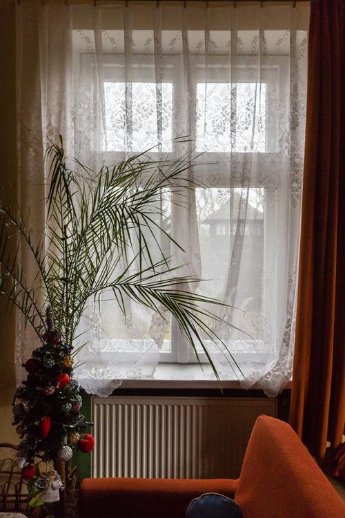 Produktbild: Kai Loges + Andreas Langen, Nebenan Auschwitz