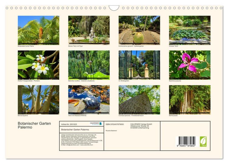Produktbild: Botanischer Garten Palermo (Wandkalender 2026 DIN A3 quer), CALVENDO Monatskalender