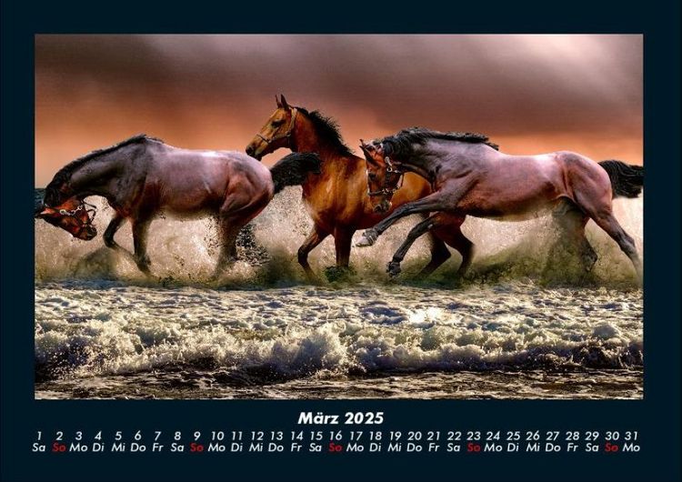 Produktbild: Pferdegefl&uuml;ster 2025 Fotokalender DIN A4