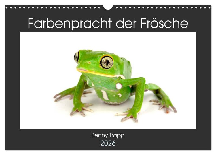 Produktbild: Farbenpracht der Fr&ouml;sche (Wandkalender 2026 DIN A3 quer), CALVENDO Monatskalender