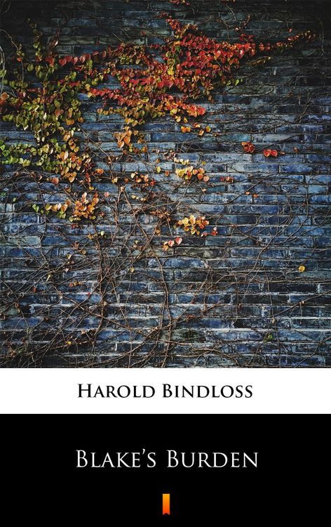 Produktbild: Blake's Burden