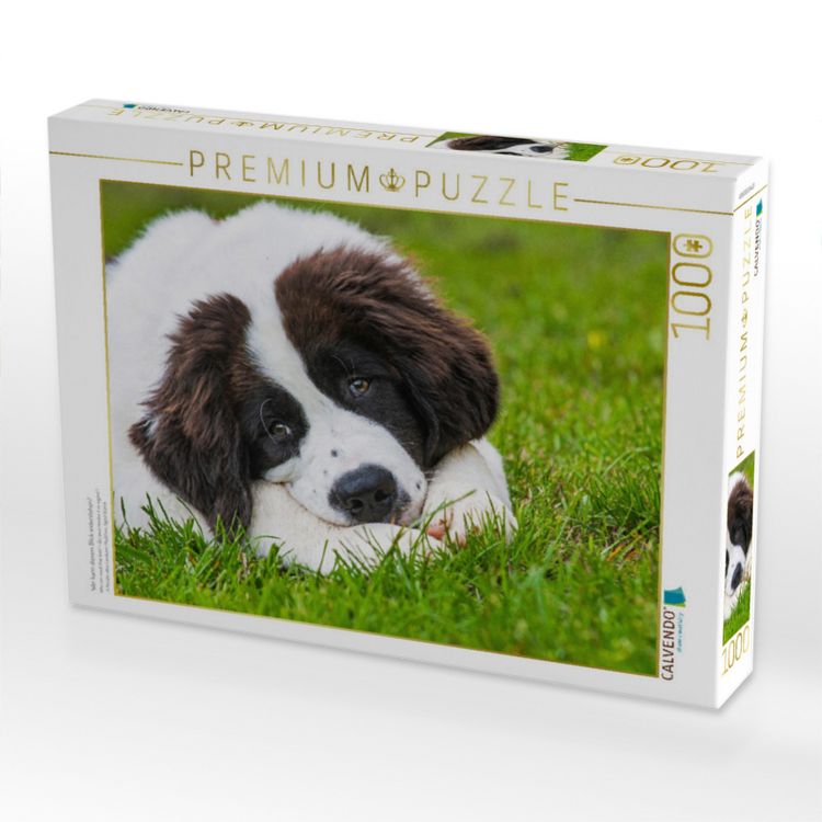 Produktbild: CALVENDO Puzzle Wer kann diesem Blick widerstehen? | 1000 Teile Lege-Gr&ouml;&szlig;e 64x48cm Foto-Puzzle f&uuml;r gl&uuml;ckliche Stunden