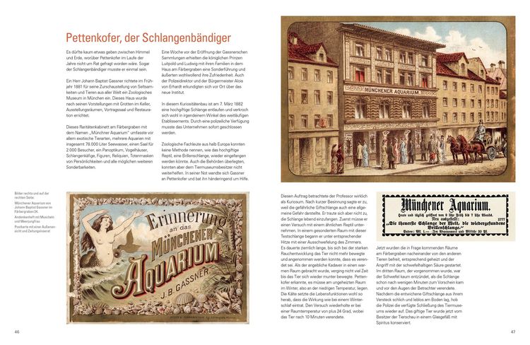 Produktbild: Meine Verehrung Exzellenz !