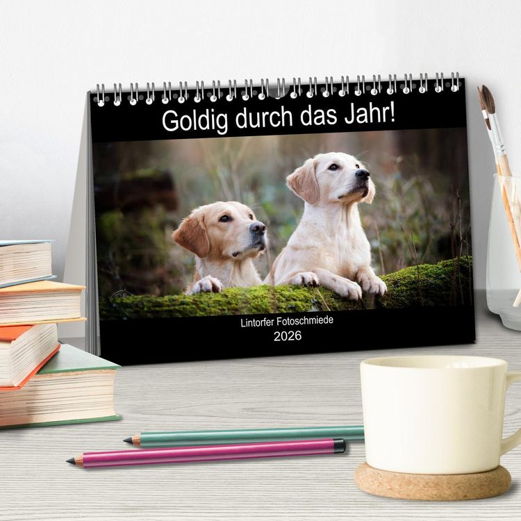 Produktbild: Goldig durch das Jahr! (Tischkalender 2026 DIN A5 quer), CALVENDO Monatskalender