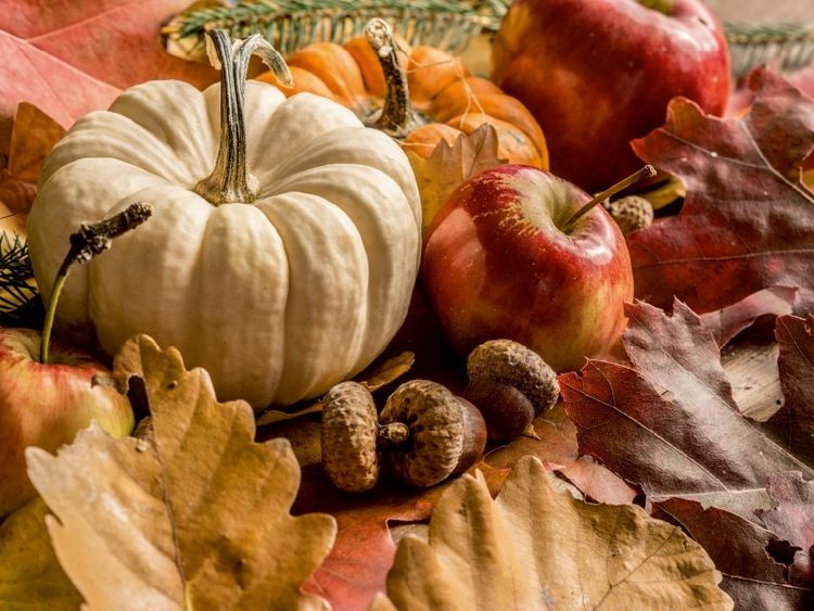 Produktbild: CALVENDO Puzzle K&uuml;rbis, &Auml;pfel, Eicheln und Herbstbl&auml;tter | 1000 Teile Lege-Gr&ouml;&szlig;e 64x48cm Foto-Puzzle f&uuml;r gl&uuml;ckliche Stunden