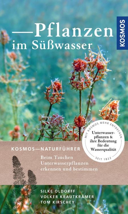 Produktbild: Pflanzen im S&uuml;&szlig;wasser