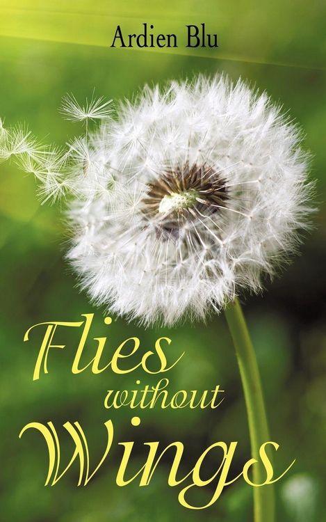 Produktbild: Flies Without Wings