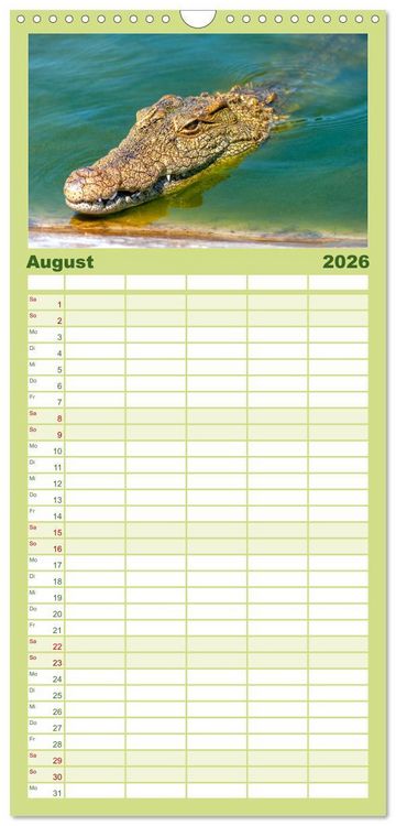 Produktbild: Familienplaner 2026 - Reptilien - Tierische Farbenpracht mit 5 Spalten (Wandkalender, 21 x 45 cm) CALVENDO