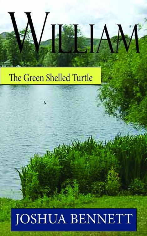 Produktbild: William the Green Shelled Turtle