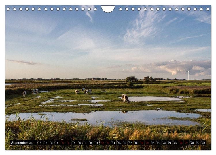 Produktbild: Nordseeinsel Pellworm 2026 (Wandkalender 2026 DIN A4 quer), CALVENDO Monatskalender