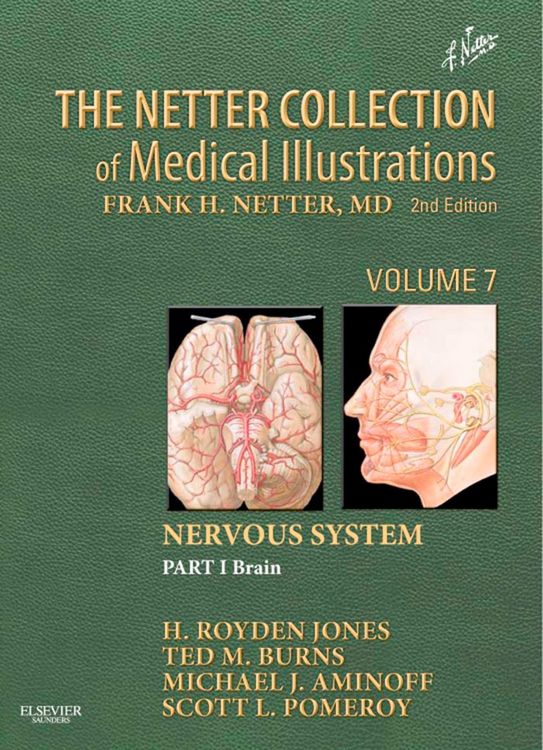 Produktbild: The Netter Collection of Medical Illustrations: Nervous System, Volume 7, Part 1 - Brain