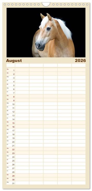 Produktbild: Familienplaner 2026 - Haflinger mit 5 Spalten (Wandkalender, 21 x 45 cm) CALVENDO