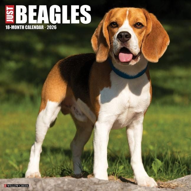 Produktbild: Beagles 2026 Wall Calendar