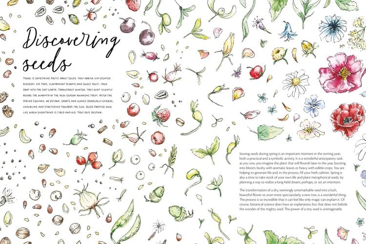 Produktbild: The Magic of Seeds