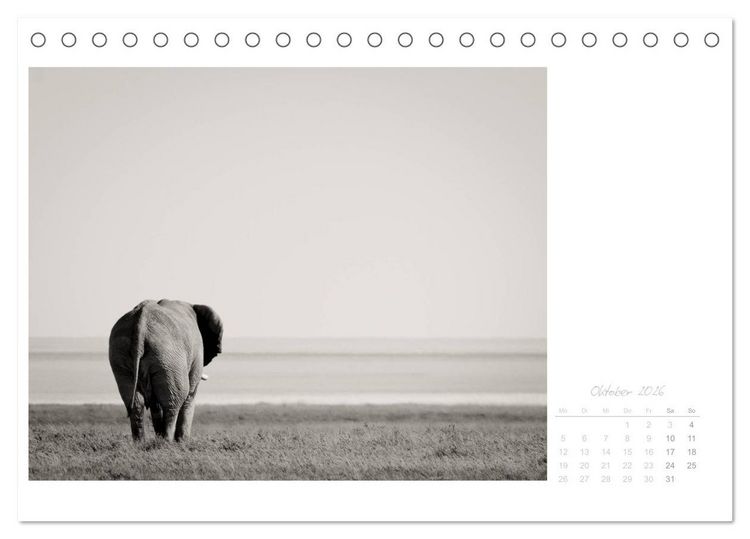 Produktbild: Elefanten in Etosha (Tischkalender 2026 DIN A5 quer), CALVENDO Monatskalender