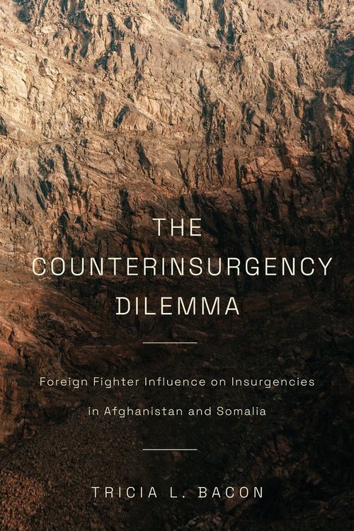Produktbild: The Counterinsurgency Dilemma