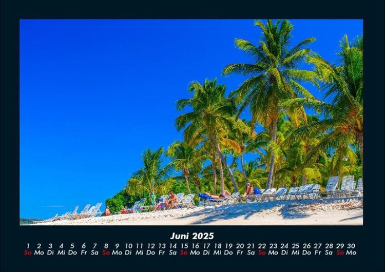 Produktbild: Palmentraum 2025 Fotokalender DIN A4