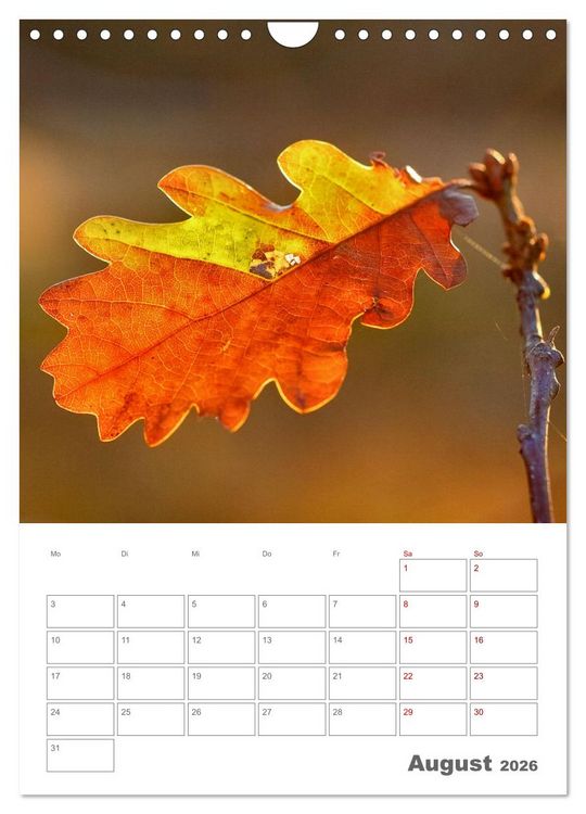 Produktbild: Planen mit dem Symbol der inneren St&auml;rke (Wandkalender 2026 DIN A4 hoch), CALVENDO Monatskalender