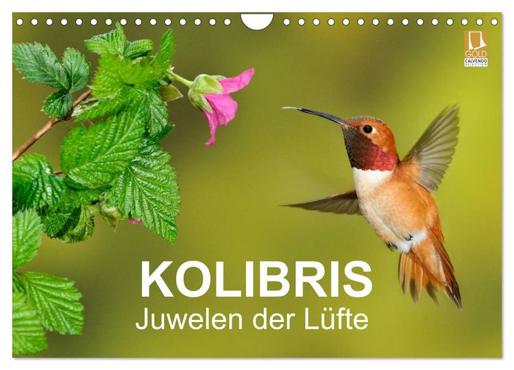 Produktbild: Kolibris - Juwelen der L&uuml;fte (Wandkalender 2026 DIN A4 quer), CALVENDO Monatskalender