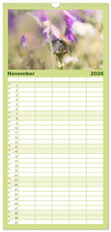 Produktbild: Familienplaner 2026 - Schmetterlinge. Schimmernde Zauberwesen mit 5 Spalten (Wandkalender, 21 x 45 cm) CALVENDO