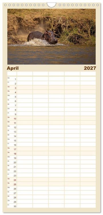 Produktbild: Familienplaner 2027 - Hippos - Gef&auml;hrliche Giganten mit 5 Spalten (Wandkalender, 21 x 45 cm) CALVENDO