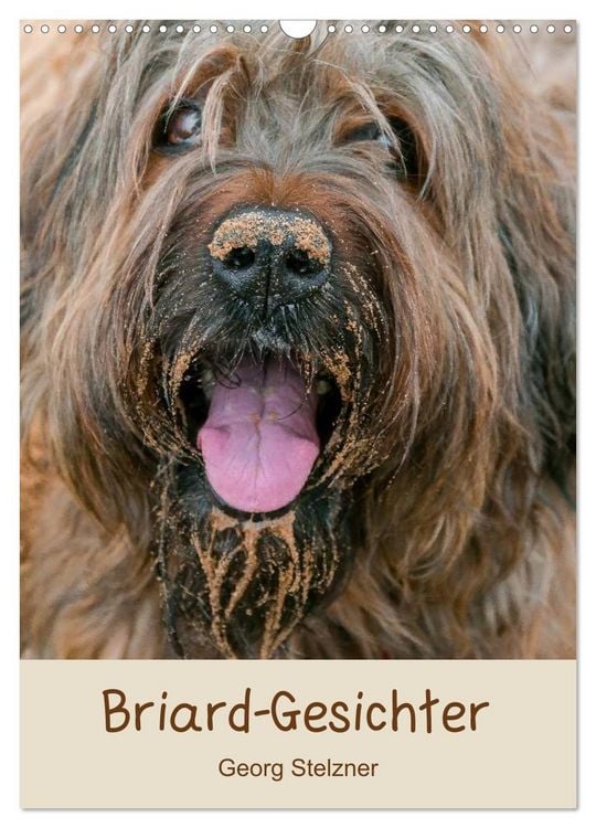 Produktbild: Briard-Gesichter (Wandkalender 2026 DIN A3 hoch), CALVENDO Monatskalender