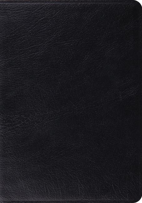 Produktbild: Study Bible-ESV