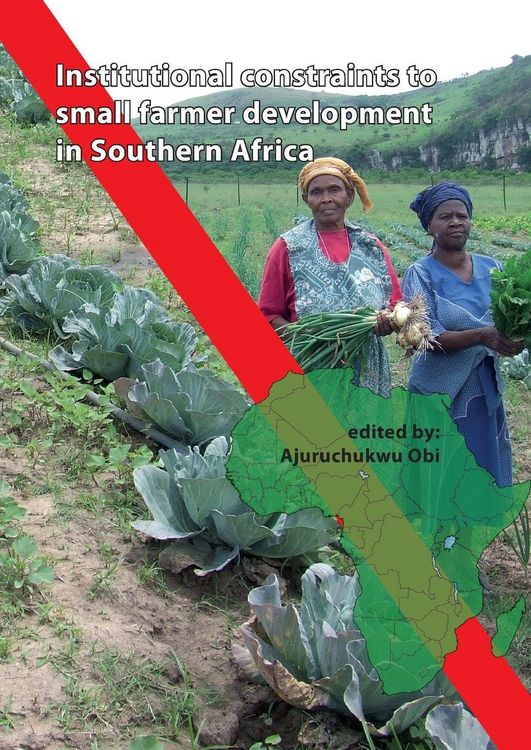 Produktbild: Institutional constraints to small farmer development in Southern Africa