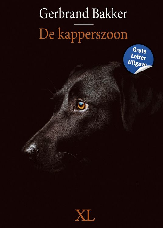 Produktbild: De kapperszoon