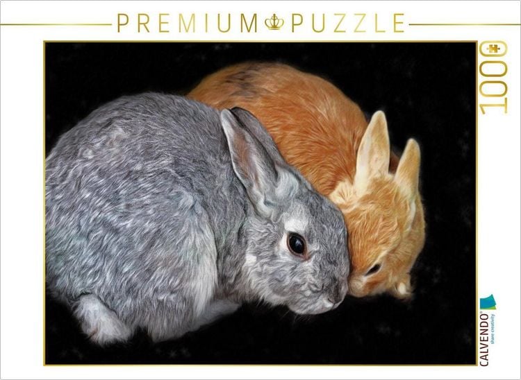 Produktbild: CALVENDO Puzzle Zwei Kaninchen | 1000 Teile Lege-Gr&ouml;&szlig;e 64x48cm Foto-Puzzle f&uuml;r gl&uuml;ckliche Stunden