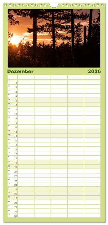 Produktbild: Familienplaner 2026 - Wald mit 5 Spalten (Wandkalender, 21 x 45 cm) CALVENDO