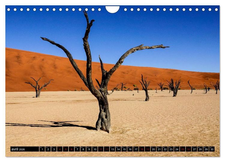Produktbild: Namibie Rouge et Or (Calendrier mural 2026 DIN A4 vertical), CALVENDO calendrier mensuel