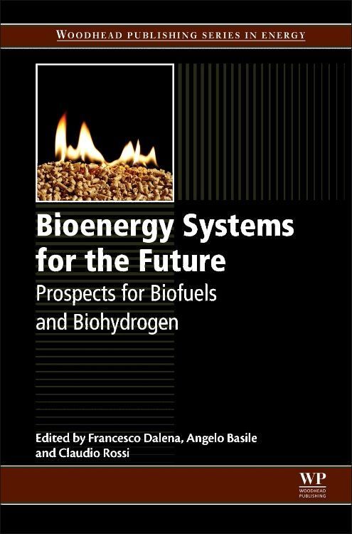 Produktbild: Bioenergy Systems for the Future