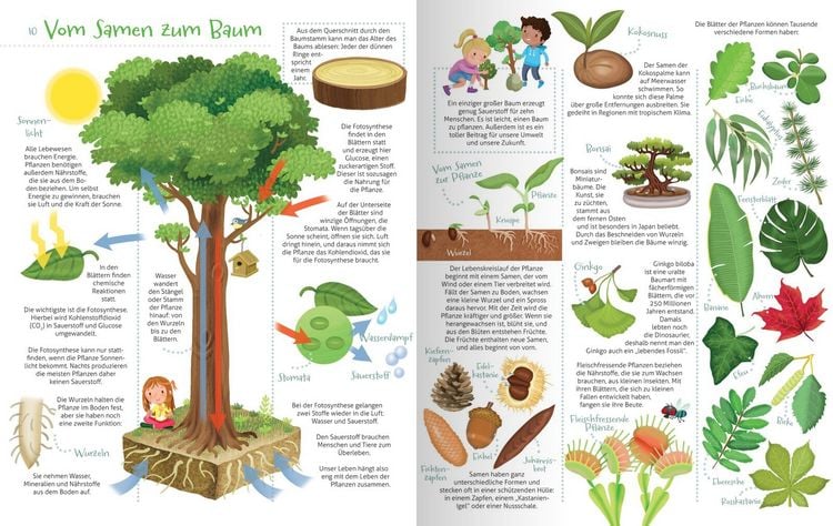 Produktbild: Das will ich alles wissen! - Mein buntes Bilderlexikon