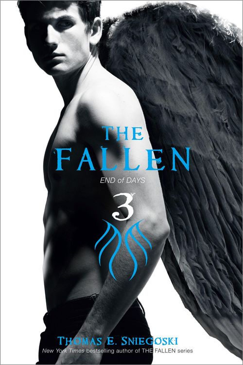 Produktbild: The Fallen 3