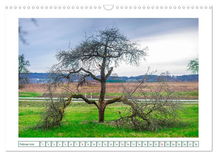 Produktbild: Gottmadingen im Hegau (Wandkalender 2026 DIN A3 quer), CALVENDO Monatskalender