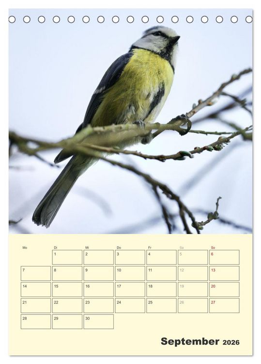 Produktbild: Vogelwelt an der Sieg (Tischkalender 2026 DIN A5 hoch), CALVENDO Monatskalender