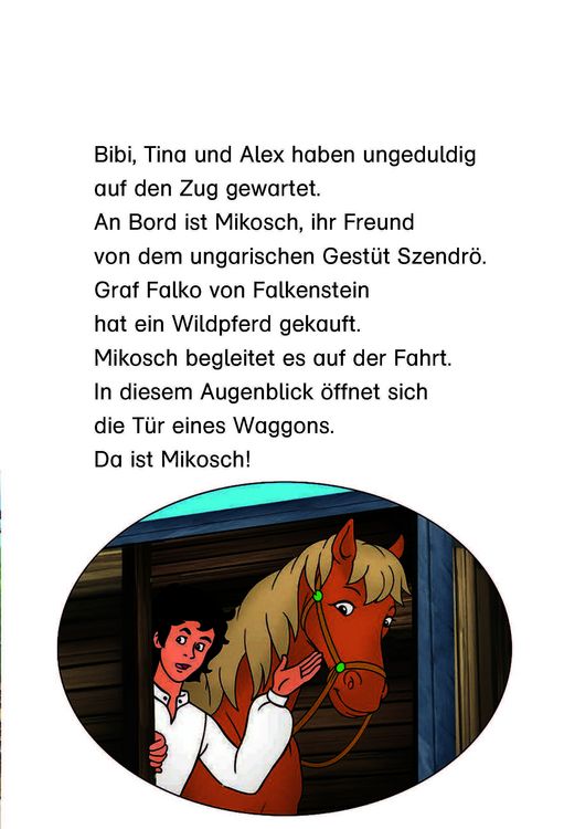 Produktbild: Bibi & Tina: Mikosch haut ab!