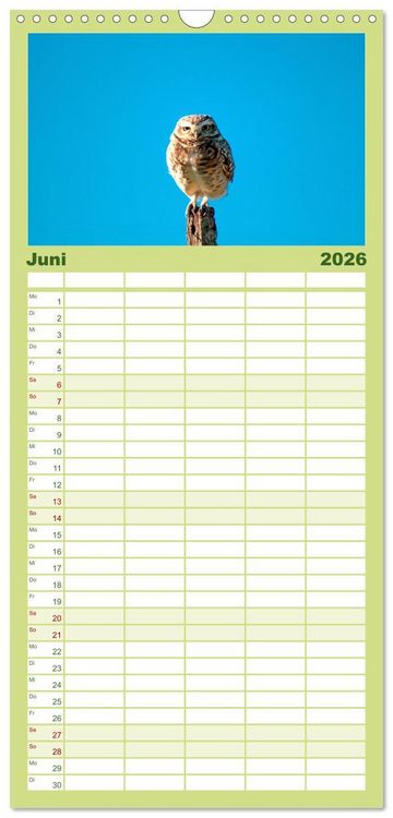 Produktbild: Familienplaner 2026 - Eulen - Wachsame und geheimnisvolle Augen mit 5 Spalten (Wandkalender, 21 x 45 cm) CALVENDO