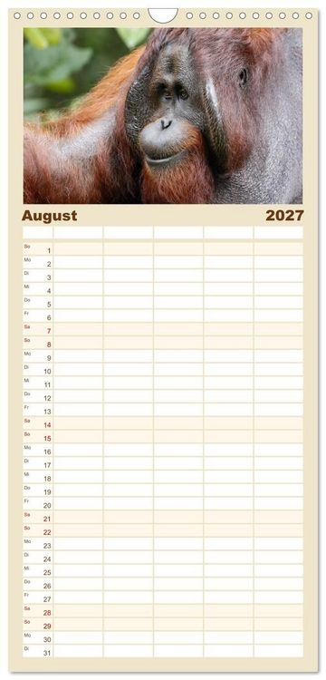 Produktbild: Familienplaner 2027 - Waldmenschen - Orang Utans auf Borneo mit 5 Spalten (Wandkalender, 21 x 45 cm) CALVENDO