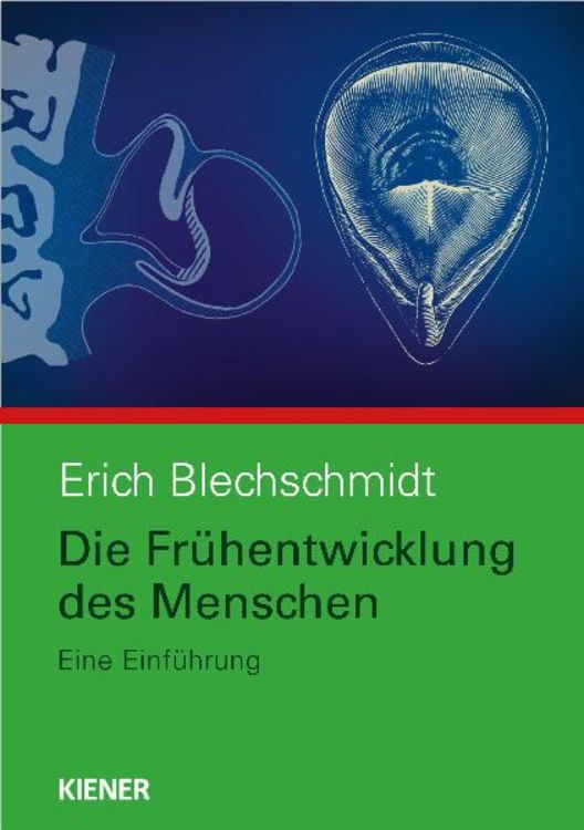 Produktbild: Die Fr&uuml;hentwicklung des Menschen