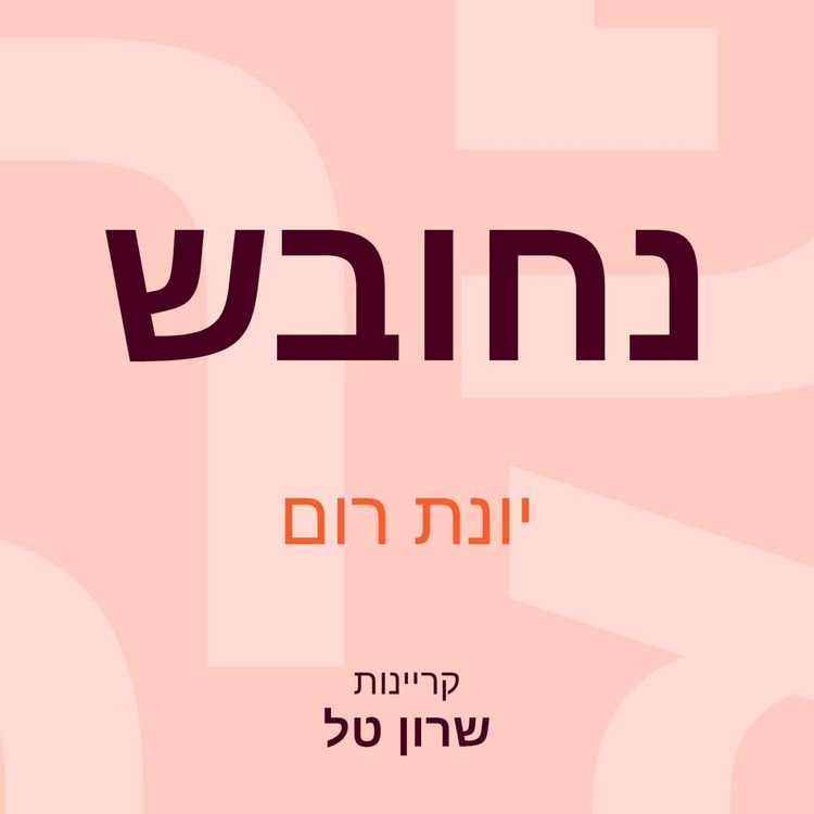 Produktbild: נחובש