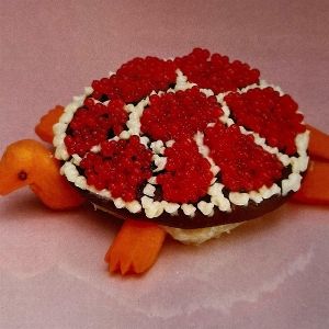 Produktbild: Turtle Rock
